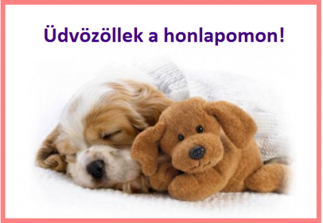 udvozellek.png